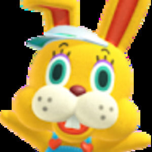 Meet your Posher, Elaina